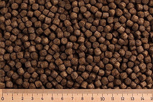 (Grundpreis 1,99 Euro/kg) - 30 kg Premium Karpfenfutter Primo Float - 6,0 mm - Karpfen schwimmend - Karpfenpellets von Aller Aqua