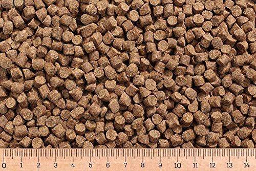 (Grundpreis 2,55 Euro/kg) - 10 kg Karpfenfutter AC 6,0 mm 30/7 sinkend - Karpfen - Karpfenpellets von Aller Aqua