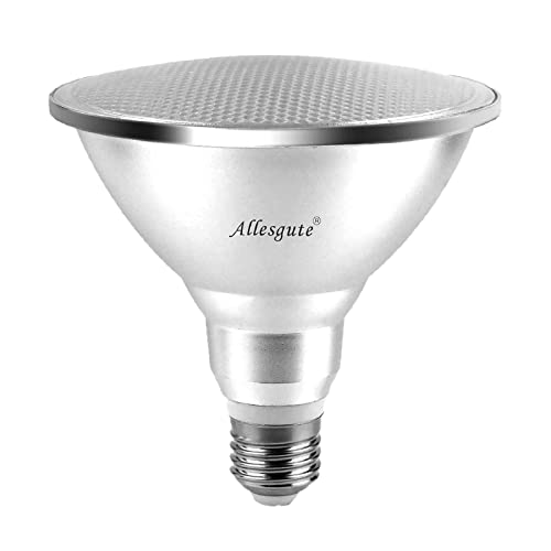 Allesgute 15W E27 Spot LED PAR38 Birne Lampe Reflektor Strahler 230V Warmweiß 3000K Leuchtmittel Eqv 150W Halogen Nicht Dimmbar,1-Stück von Allesgute