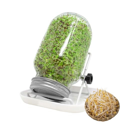 750ml Keimgläser Set für Sprossen – Inklusive Filterdeckel aus Edelstahl, Verstellbarer Halterung und Abtropfschale – Keimglas für die Zucht von Sprossen und Bio-Gemüse wie Erbsen, Blumenkohl von Alleshelfer