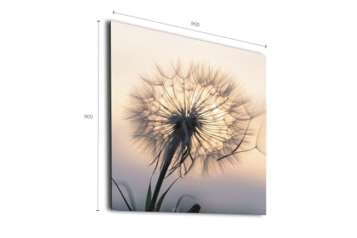Allesklaro Digitaldruck - Pusteblume - Wandbild auf 4 mm Alu Verbundplatte - verschiedene Größen von Allesklaro Digitaldruck
