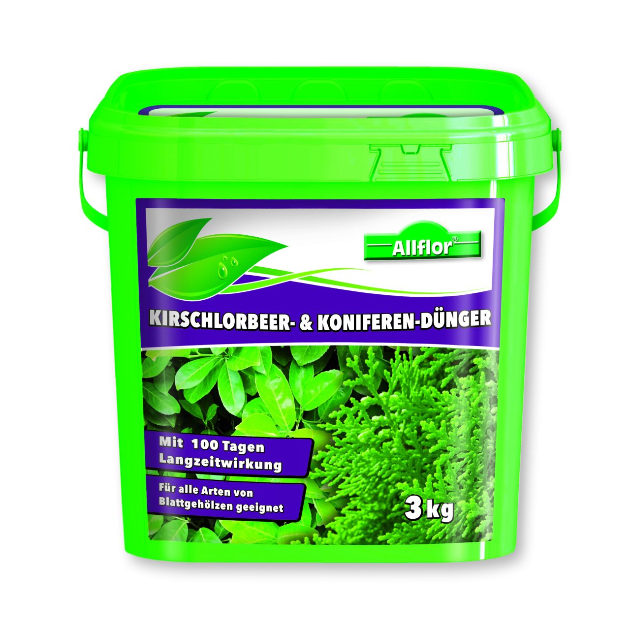 Allflor Kirschlorbeer- und Thuja Dünger 3 kg Eimer von Allflor