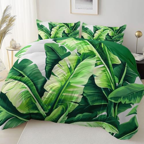 Grün Reversibel Bettbezug Nicht Leicht Verblassen Pflegeleicht, Einfach Illustration Bananenblatt Mikrofaser Bettbezug Mit Reißverschluss Weich Bügelfrei, 180 x 200 cm Bettwäsche Set Dauerhaft Grün Reversibel Bettbezug Nicht Leicht Verblassen Pflegeleicht, Einfach Illustration Bananenblatt Mikrofaser Bettbezug Mit Reißverschluss Weich Bügelfrei, 180 x 200 cm Bettwäsche Set Dauerhaft von Allgemein