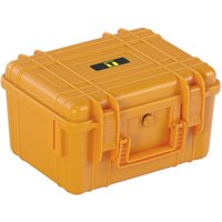 Allit Transportkoffer DinoPlus Outdoor F11, Nutzmaße HxBxT 225 x 160 x 138 mm, orange von Allit