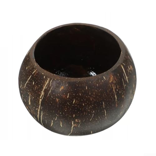 Artisan Kokosnussschale Schale nachhaltige runde Schale für Snacks und Trockenfrüchte (poliert) von Allthingstore