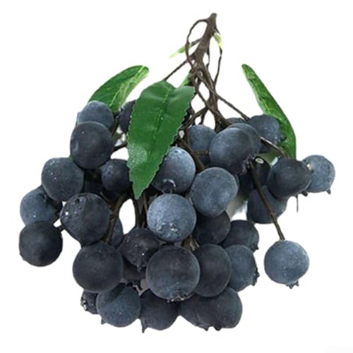 Dekorieren Sie mit lebensechten künstlichen Longan, Litschi, Heidelbeere und Kirschen (B) von Allthingstore