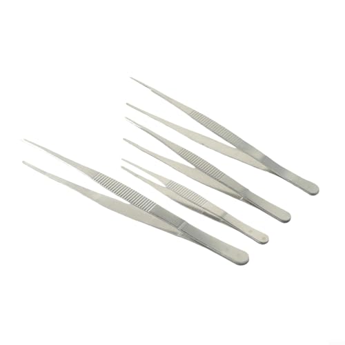 Grillpinzette aus hochwertigem Edelstahl, Küchenhelfer für Buffets und Kochen im Freien (25 cm) von Allthingstore