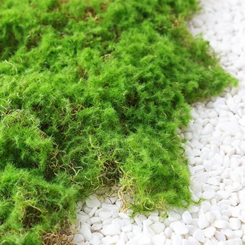 Nature Like Aesthetics Made Easy Entdecken Sie die Vorteile unserer robusten beflockten Grasoptionen (Farbton Grün 20 x 20) von Allthingstore