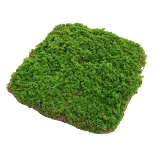 Nature Like Aesthetics Made Easy Entdecken Sie die Vorteile unserer robusten beflockten Grasoptionen (Grün 40 x 60) von Allthingstore