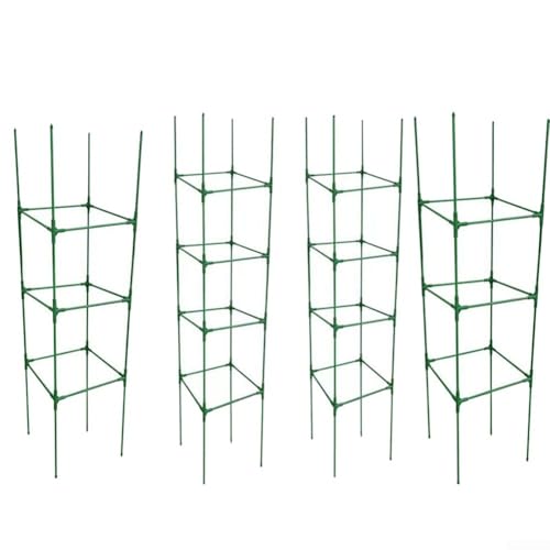 Premium Tomatenkäfige und Rankhilfe zur Unterstützung von Kletterpflanzen in allen Jahreszeiten (B) von Allthingstore
