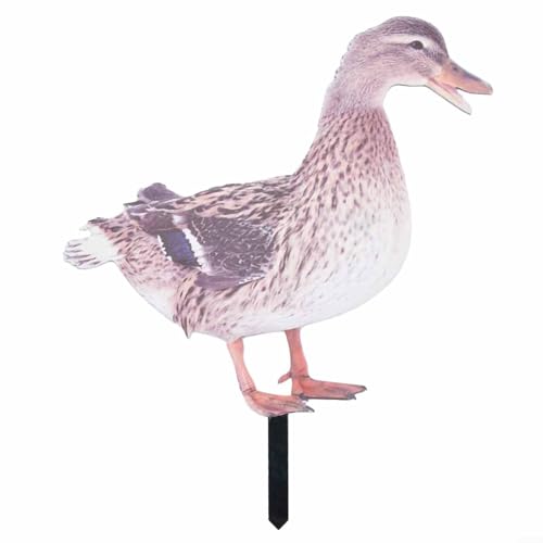 Realistische Acryl-Entenpfahl, Gartendekoration, geeignet für Rasen, Hof und Garten, Outdoor-Dekoration (A) von Allthingstore