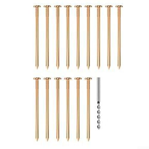 Verbessern Sie Ihre Gartenstrategie mit Kupfernägeln für Baumstümpfe, einfach zu bedienen und umweltfreundlich (15 Stück) von Allthingstore