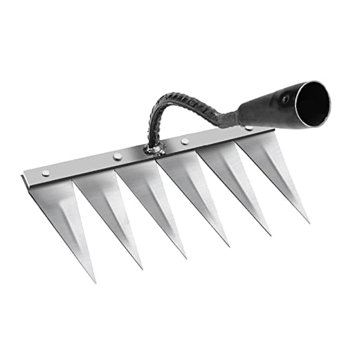 AlluraPet Hohlhacke Garten-Unkraut- und Bodenlockerungswerkzeug für Gemüsepflanzung mit 4/5/6/7 Zahnoptionen, 6-Zahn-Stahl AlluraPet Hohlhacke Garten-Unkraut- und Bodenlockerungswerkzeug für Gemüsepflanzung mit 4/5/6/7 Zahnoptionen, 6-Zahn-Stahl von AlluraPet