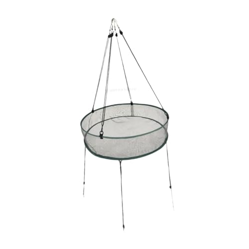 AlluraPet Vogelfutterschale für den Außenbereich, Garten, Hängetablett mit Fiberglas-Netz, 50,8 cm Durchmesser, einfache Installation, Hängering für Vogelfutterstation, Grau AlluraPet Vogelfutterschale für den Außenbereich, Garten, Hängetablett mit Fiberglas-Netz, 50,8 cm Durchmesser, einfache Installation, Hängering für Vogelfutterstation, Grau von AlluraPet