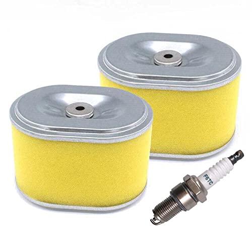 SALLY 2x Luftfilter Vorfilter Satz und Zündkerze für Lumag Rüttelplatte RP-1100 RP1100 PRO mit Loncin Motor Ersetzt 17210-ZE1-505 von Allymarket