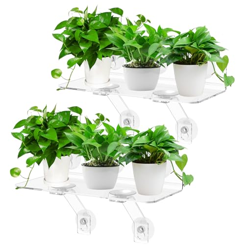 Alongen 2PCS Acrylscheibenanlage Regal Effizienter Platz Nutze Fensteranlage Ständer mit Saugnapfbecher ohne Punch Installation für Home Office von Alongen