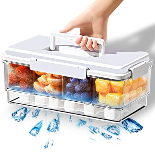 Aloskart Snackbox mit Fächern 4-Fach Snackteller mit Deckel & Griff, snackdose mit fächern, Unterteilte Aufbewahrung, Rechteckiges Design - für Süßigkeiten, Obst, Gemüse, Nüsse, Party, Picknick von Aloskart