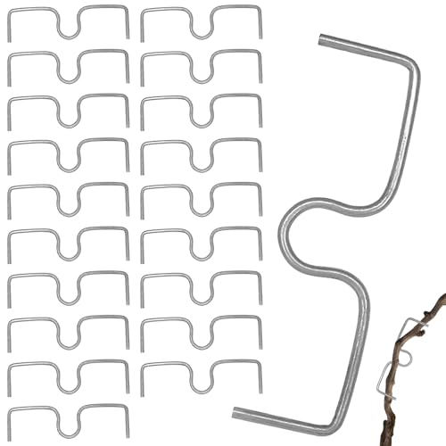 Alovez 20 Stück Astspreizer für Obstbäume, 10cm M-Förmiger Astspreizer Spreizeraststütze für Obstbäume, Astklammern Metall für Gartenzweige, Zum Spreizen und Ebnen von Obstbaumzweigen von Alovez