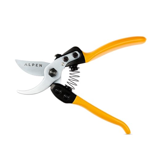 ALPEN Gelbhorn 150 Gartenschere 207 mm - Bypass-Astschere geschmiedet - Klinge chrombeschichtet - Automatisches Öffnungssystem - Ergonomisch - Für Profis und ambitionierte Gärtner ALPEN Gelbhorn 150 Gartenschere 207 mm - Bypass-Astschere geschmiedet - Klinge chrombeschichtet - Automatisches Öffnungssystem - Ergonomisch - Für Profis und ambitionierte Gärtner von Alpen Swiss Tools