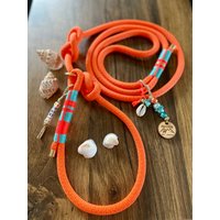 Retriever - Tauleine Neonorange von AlpenDog