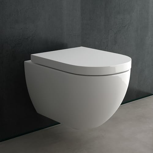 Alpenberger Spülrandloses WC mit Bidet Funktion | Dusch WC mit Schallschutz | Toilettendeckel D Form | Hänge WC mit Intimdusche | Taharet WC Toilette Passend Geberit von Alpenberger Germany