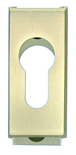 Alpertec 40111970K1 Aluminium Schutzrosette als Schieberosette 65x30 mm silber eloxiert Drückergarnitur Türdrücker Türbeschläge Neu von Alpertec