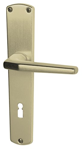 Alpertec 40400010PO Aluminium Phil-LS Langschildgarnitur für Zimmertüren in F2 eloxiert BB 72 MM Drückergarnitur Türdrücker Türbeschläge Neu von Alpertec