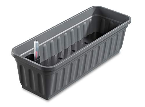 Alpfa Blumenkasten 60 cm anthrazit mit Wasserspeicher Made IN Germany von Alpfa