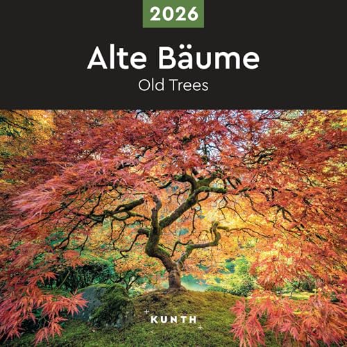 Alte Bäume - KUNTH Broschurkalender 2026: Farbenprächtiger Wandkalender mit Monatskalendarium für Notizen von KUNTH