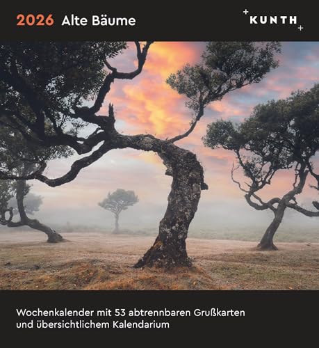 Alte Bäume - KUNTH Postkartenkalender 2026: Hochwertiger Tischkalender mit 53 traumhaften Postkarten (auch zum Aufhängen) (KUNTH Postkartenkalender 52 Wochen) von KUNTH