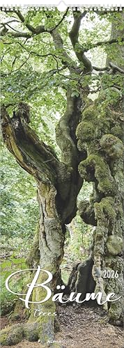 Bäume 2026 - Streifenkalender XXL 25x69 cm - Bildkalender im Hochformat - Wandplaner - Wandkalender - Bäumekalender: Trees Bäume 2026 - Streifenkalender XXL 25x69 cm - Bildkalender im Hochformat - Wandplaner - Wandkalender - Bäumekalender: Trees von Alpha Edition