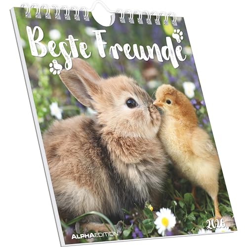 Beste Freunde 2026 - Postkartenkalender 16x17 cm von Alpha Edition