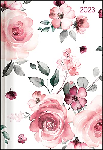 Buchkalender Style Roses 2023 - Büro-Kalender A5 - Cheftimer - 1 Tag 1 Seite - 352 Seiten - Rose - Alpha Edition von Alpha Edition