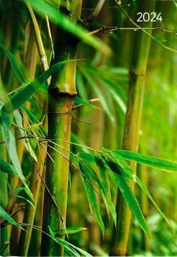 Buchkalender Style Zen 2024 - Büro-Kalender A5 - Cheftimer - 1 Tag 1 Seite - 352 Seiten - Achtsamkeit - Alpha Edition Buchkalender Style Zen 2024 - Büro-Kalender A5 - Cheftimer - 1 Tag 1 Seite - 352 Seiten - Achtsamkeit - Alpha Edition von Alpha Edition