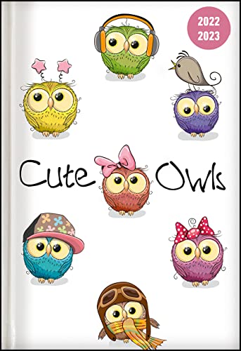 Collegetimer Cute Owls 2022/2023 - Schüler-Kalender A6 (10x15 cm) - Eule - Day By Day - 352 Seiten - Terminplaner - Notizbuch - Alpha Edition (Collegetimer A6 Daily) von ALPHA EDITION GmbH
