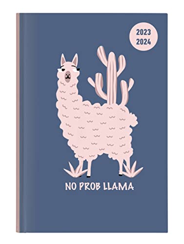 Collegetimer Llama 2023/2024 - Schüler-Kalender A5 (15x21 cm) - Lama - Day By Day - 352 Seiten - Terminplaner - Notizbuch - Alpha Edition (Collegetimer A5 Daily) von Alpha Edition
