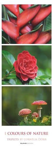 Alpha Edition - Colours of Nature: Triplets 2025 Streifenkalender XXL, 25x69cm, Kalender mit 3 aufeinander abgestimmten Bildern pro Monat, Notizmöglichkeiten und internationales Kalendarium von Alpha Edition