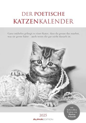 Der poetische Katzenkalender 2025 - Bild-Kalender 23,7x34 cm - mit schönen Zitaten - schwarz-weiß - Wandkalender - mit Platz für Notizen - Alpha Edition von Alpha Edition