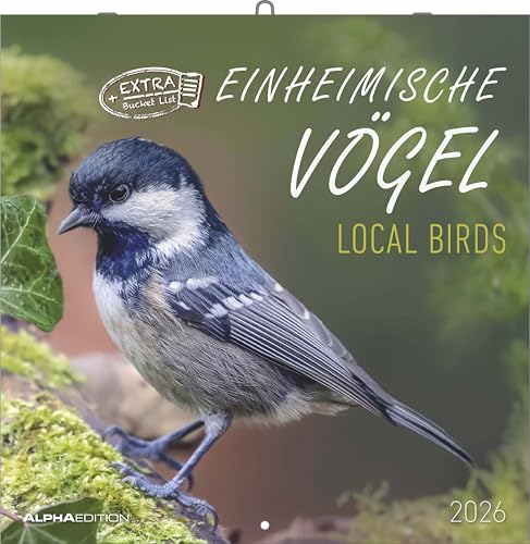 Einheimische Vögel 2026 - Broschürenkalender 30x30 cm (30x60 geöffnet) - Kalender mit Platz für Notizen - Birds - Bildkalender - Wandkalender - Vogelkalender: Local Birds von Alpha Edition