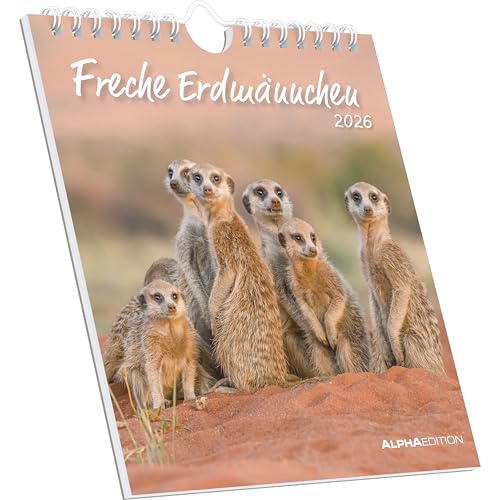 Freche Erdmännchen 2026 - Postkartenkalender 16x17 cm Freche Erdmännchen 2026 - Postkartenkalender 16x17 cm von Alpha Edition