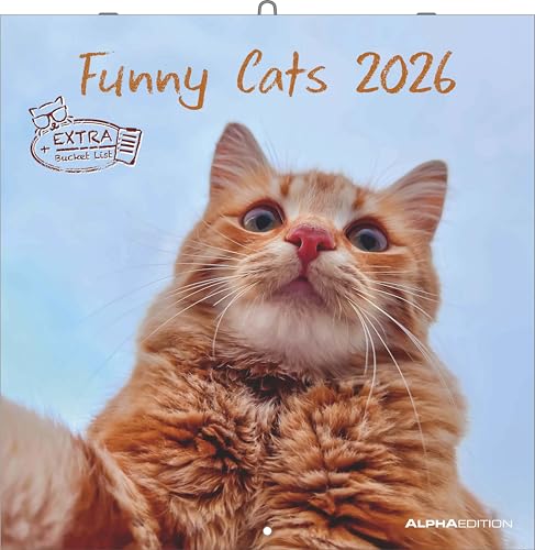 Funny Cats 2026 - Broschürenkalender 30x30 cm (30x60 geöffnet) - Kalender mit Platz für Notizen - Katzen - Bildkalender - Wandplaner - Katzenkalender von Alpha Edition