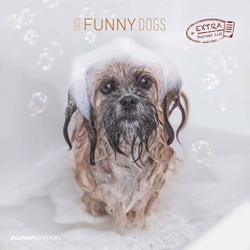 Alpha Edition - Funny Dogs 2025 Broschürenkalender, 30x30cm, Wandkalender mit Platz für Notizen und Termine, lustige Hunde-Motive, Monatsübersicht und Ferientermine DE/AT/CH von Alpha Edition