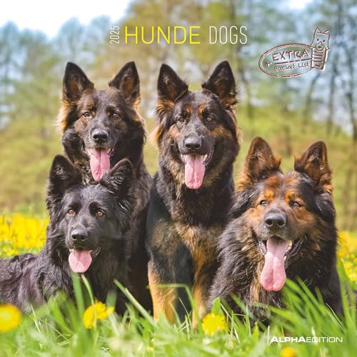 Alpha Edition - Hunde 2025 Broschürenkalender, 30x30cm, Wandkalender mit Platz für Notizen und Termine, schöne Hunde-Motive, Monatsübersicht und Ferientermine DE/AT/CH von Alpha Edition