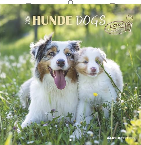 Hunde 2026 - Broschürenkalender 30x30 cm (30x60 geöffnet) - Kalender mit Platz für Notizen - Dogs - Bildkalender - Wandkalender - Hundekalender: Dogs von Alpha Edition
