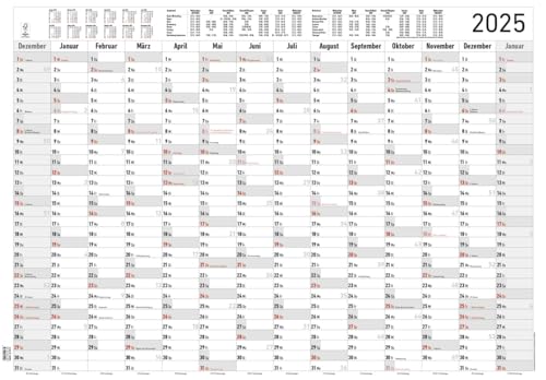 Alpha Edition - Jahresplaner XL 2025 Plakatkalender, 100x70cm, Jahreskalender mit 14 Monaten-Übersicht, Ferienterminen und deutschem Kalendarium, Arbeitstagezählung von Alpha Edition