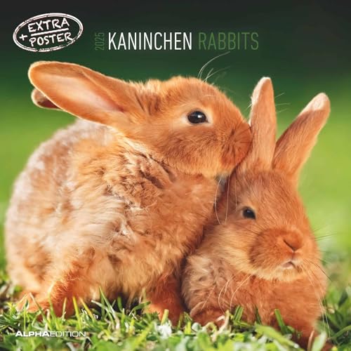 Kaninchen 2025 - Broschürenkalender 30x30 cm (30x60 geöffnet) - Kalender mit Platz für Notizen - Rabbits - Bildkalender - Wandplaner - Wandkalender von Alpha Edition