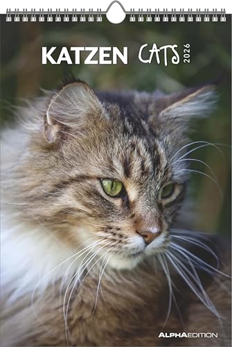 Katzen 2026 - Bildkalender 23,7x34 cm - Kalender mit Platz für Notizen - mit vielen Zusatzinformationen - Cats - Wandkalender - Alpha Edition: Cats von Alpha Edition