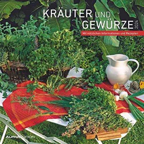 Kräuter & Gewürze 2024 - Broschürenkalender 30x30 cm (30x60 geöffnet) - Kalender mit Platz für Notizen - inkl. Poster - mit Rezepten - Alpha Edition von Alpha Edition