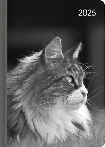 Alpha Edition - Ladytimer Cat 2025 Taschenkalender, 10,7x15,2cm, Kalender mit 192 Seiten, Notizmöglichkeiten nach jedem Tag, Bucket List, Mondphasen und internationales Kalendarium von Alpha Edition