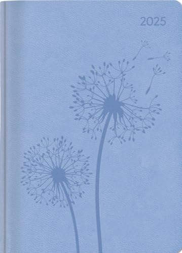 Alpha Edition - Ladytimer Deluxe Sky 2025, 10,7x15,2cm, Kalender mit 192 Seiten, Notizmöglichkeiten nach jeden Tag und internationales Kalendarium von Alpha Edition